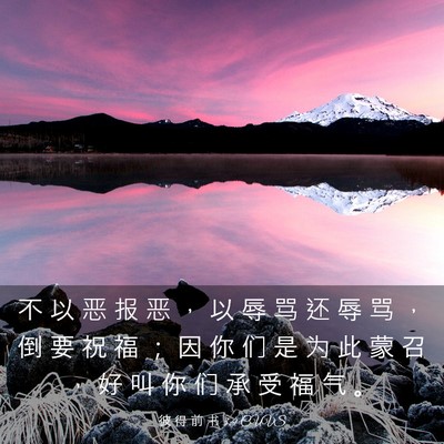 Picture 03 - 彼 得 前 书 3:9 CUVS - 不 以 恶 报 恶 ， 以 辱 骂 还 辱 骂 - Bible Verse Picture
