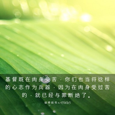 Picture 03 - 彼 得 前 书 4:1 CUVS - 基 督 既 在 肉 身 受 苦 ， 你 们 也 - Bible Verse Picture
