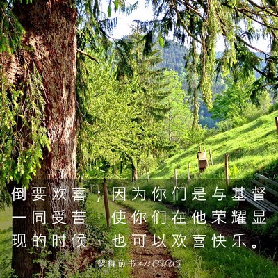 Picture 03 - 彼 得 前 书 4:13 CUVS - 倒 要 欢 喜 ； 因 为 你 们 是 与 基 - Bible Verse Picture