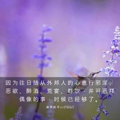 Picture 03 - 彼 得 前 书 4:3 CUVS - 因 为 往 日 随 从 外 邦 人 的 心 意 - Bible Verse Picture