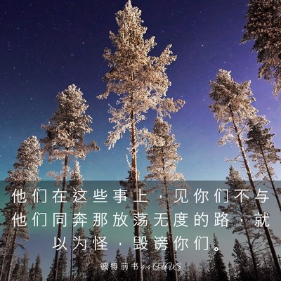 Picture 03 - 彼 得 前 书 4:4 CUVS - 他 们 在 这 些 事 上 ， 见 你 们 不 - Bible Verse Picture