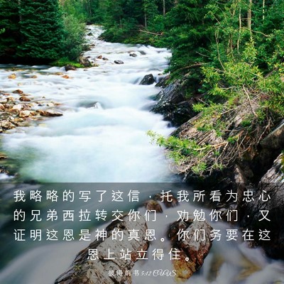 Picture 03 - 彼 得 前 书 5:12 CUVS - 我 略 略 的 写 了 这 信 ， 托 我 所 - Bible Verse Picture