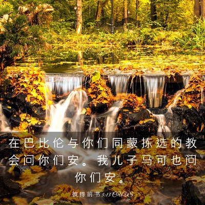 Picture 03 - 彼 得 前 书 5:13 CUVS - 在 巴 比 伦 与 你 们 同 蒙 拣 选 的 - Bible Verse Picture