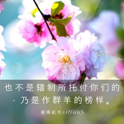Picture 03 - 彼 得 前 书 5:3 CUVS - 也 不 是 辖 制 所 托 付 你 们 的 ， - Bible Verse Picture