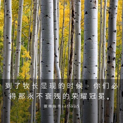 Picture 03 - 彼 得 前 书 5:4 CUVS - 到 了 牧 长 显 现 的 时 候 ， 你 们 - Bible Verse Picture