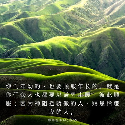 Picture 03 - 彼 得 前 书 5:5 CUVS - 你 们 年 幼 的 ， 也 要 顺 服 年 长 - Bible Verse Picture