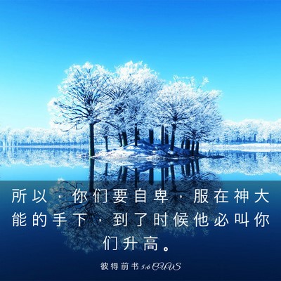 Picture 03 - 彼 得 前 书 5:6 CUVS - 所 以 ， 你 们 要 自 卑 ， 服 在 神 - Bible Verse Picture