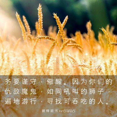 Picture 03 - 彼 得 前 书 5:8 CUVS - 务 要 谨 守 ， 儆 醒 。 因 为 你 们 - Bible Verse Picture