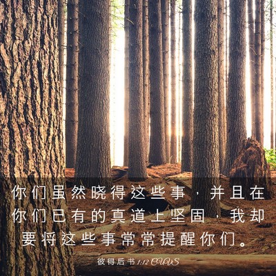 Picture 03 - 彼 得 后 书 1:12 CUVS - 你 们 虽 然 晓 得 这 些 事 ， 并 且 - Bible Verse Picture
