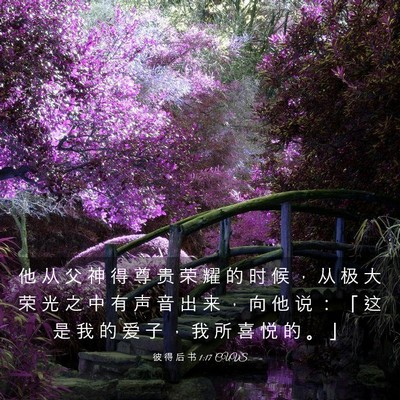 Picture 03 - 彼 得 后 书 1:17 CUVS - 他 从 父 神 得 尊 贵 荣 耀 的 时 候 - Bible Verse Picture