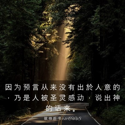 Picture 03 - 彼 得 后 书 1:21 CUVS - 因 为 预 言 从 来 没 有 出 於 人 意 - Bible Verse Picture