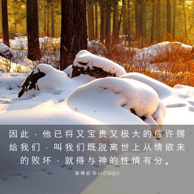 Picture 03 - 彼 得 后 书 1:4 CUVS - 因 此 ， 他 已 将 又 宝 贵 又 极 大 - Bible Verse Picture