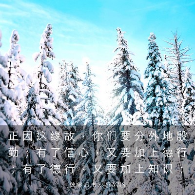 Picture 03 - 彼 得 后 书 1:5 CUVS - 正 因 这 缘 故 ， 你 们 要 分 外 地 - Bible Verse Picture