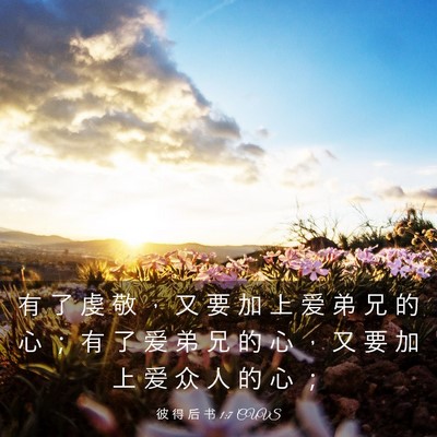 Picture 03 - 彼 得 后 书 1:7 CUVS - 有 了 虔 敬 ， 又 要 加 上 爱 弟 兄 - Bible Verse Picture