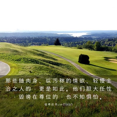 Picture 03 - 彼 得 后 书 2:10 CUVS - 那 些 随 肉 身 、 纵 污 秽 的 情 欲 - Bible Verse Picture