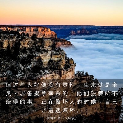 Picture 03 - 彼 得 后 书 2:12 CUVS - 但 这 些 人 好 像 没 有 灵 性 ， 生 - Bible Verse Picture