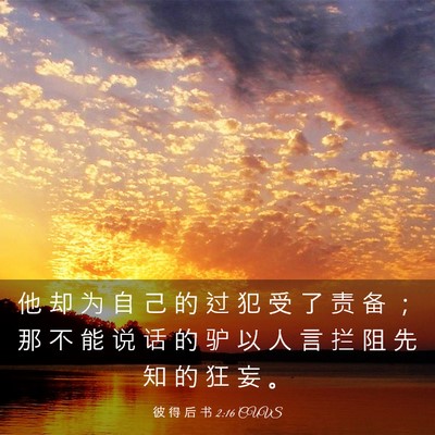 Picture 03 - 彼 得 后 书 2:16 CUVS - 他 却 为 自 己 的 过 犯 受 了 责 备 - Bible Verse Picture