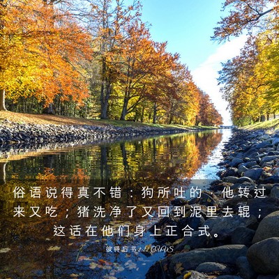 Picture 03 - 彼 得 后 书 2:22 CUVS - 俗 语 说 得 真 不 错 ： 狗 所 吐 的 - Bible Verse Picture