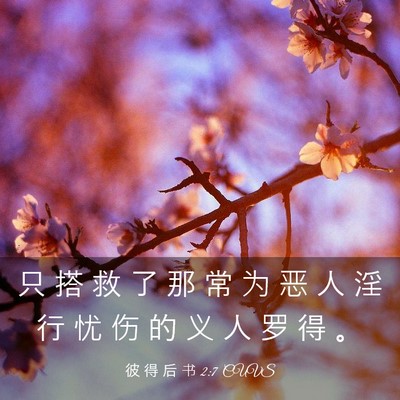 Picture 03 - 彼 得 后 书 2:7 CUVS - 只 搭 救 了 那 常 为 恶 人 淫 行 忧 - Bible Verse Picture