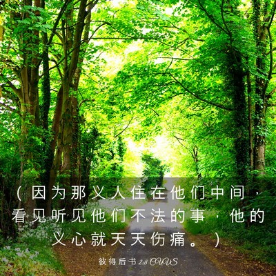 Picture 03 - 彼 得 后 书 2:8 CUVS - （ 因 为 那 义 人 住 在 他 们 中 间 - Bible Verse Picture