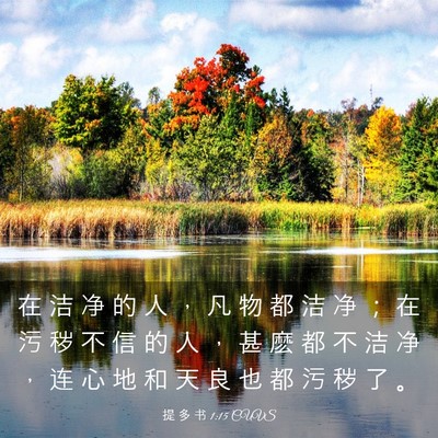 Picture 03 - 提 多 书 1:15 CUVS - 在 洁 净 的 人 ， 凡 物 都 洁 净 ； - Bible Verse Picture