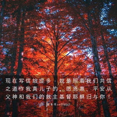 Picture 03 - 提 多 书 1:4 CUVS - 现 在 写 信 给 提 多 ， 就 是 照 着 - Bible Verse Picture