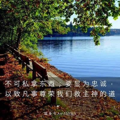Picture 03 - 提 多 书 2:10 CUVS - 不 可 私 拿 东 西 ； 要 显 为 忠 诚 - Bible Verse Picture
