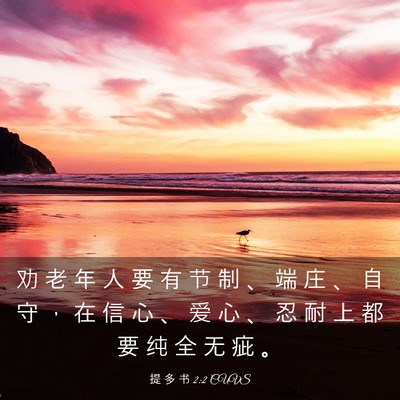 Picture 03 - 提 多 书 2:2 CUVS - 劝 老 年 人 要 有 节 制 、 端 庄 、 - Bible Verse Picture