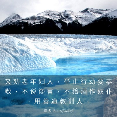 Picture 03 - 提 多 书 2:3 CUVS - 又 劝 老 年 妇 人 ， 举 止 行 动 要 - Bible Verse Picture