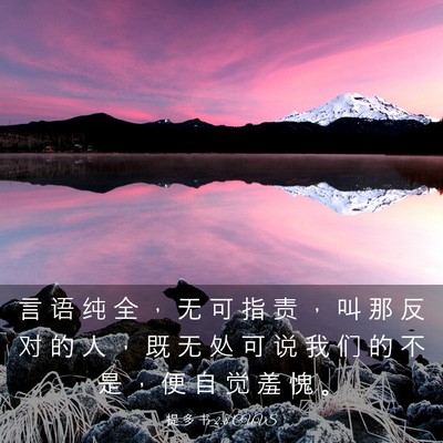 Picture 03 - 提 多 书 2:8 CUVS - 言 语 纯 全 ， 无 可 指 责 ， 叫 那 - Bible Verse Picture