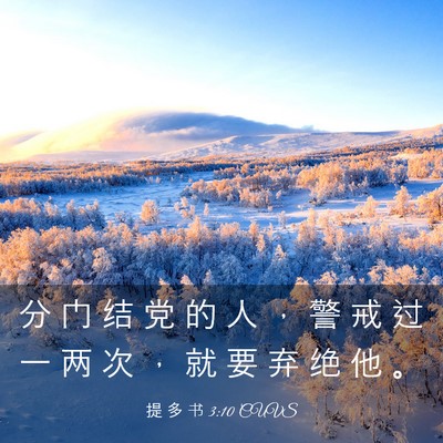 Picture 03 - 提 多 书 3:10 CUVS - 分 门 结 党 的 人 ， 警 戒 过 一 两 - Bible Verse Picture