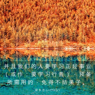 Picture 03 - 提 多 书 3:14 CUVS - 并 且 我 们 的 人 要 学 习 正 经 事 - Bible Verse Picture