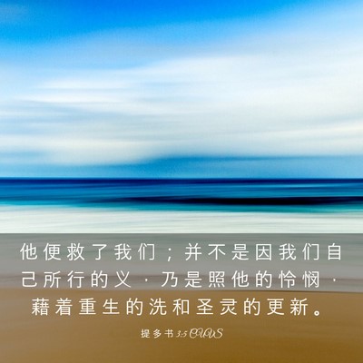 Picture 03 - 提 多 书 3:5 CUVS - 他 便 救 了 我 们 ； 并 不 是 因 我 - Bible Verse Picture