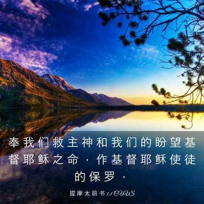 Picture 03 - 提 摩 太 前 书 1:1 CUVS - 奉 我 们 救 主 神 和 我 们 的 盼 望 - Bible Verse Picture