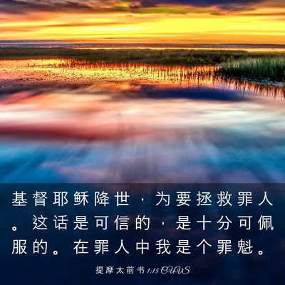 Picture 03 - 提 摩 太 前 书 1:15 CUVS - 基 督 耶 稣 降 世 ， 为 要 拯 救 罪 - Bible Verse Picture