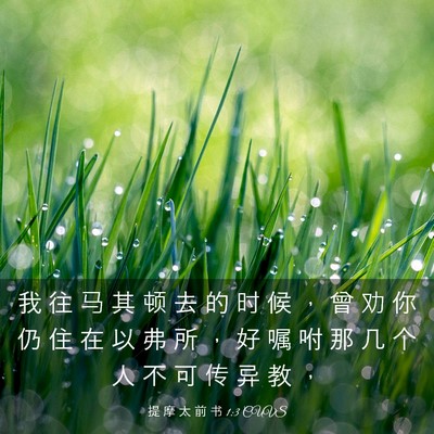 Picture 03 - 提 摩 太 前 书 1:3 CUVS - 我 往 马 其 顿 去 的 时 候 ， 曾 劝 - Bible Verse Picture