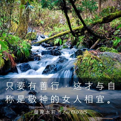 Picture 03 - 提 摩 太 前 书 2:10 CUVS - 只 要 有 善 行 ， 这 才 与 自 称 是 - Bible Verse Picture