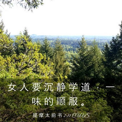 Picture 03 - 提 摩 太 前 书 2:11 CUVS - 女 人 要 沉 静 学 道 ， 一 味 的 顺 - Bible Verse Picture