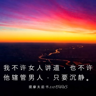 Picture 03 - 提 摩 太 前 书 2:12 CUVS - 我 不 许 女 人 讲 道 ， 也 不 许 他 - Bible Verse Picture