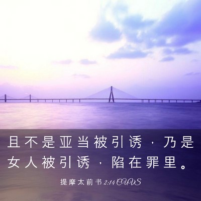 Picture 03 - 提 摩 太 前 书 2:14 CUVS - 且 不 是 亚 当 被 引 诱 ， 乃 是 女 - Bible Verse Picture