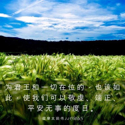 Picture 03 - 提 摩 太 前 书 2:2 CUVS - 为 君 王 和 一 切 在 位 的 ， 也 该 - Bible Verse Picture