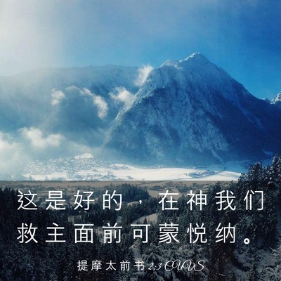 Picture 03 - 提 摩 太 前 书 2:3 CUVS - 这 是 好 的 ， 在 神 我 们 救 主 面 - Bible Verse Picture