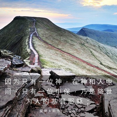 Picture 03 - 提 摩 太 前 书 2:5 CUVS - 因 为 只 有 一 位 神 ， 在 神 和 人 - Bible Verse Picture