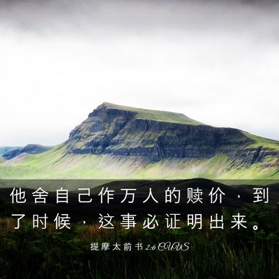 Picture 03 - 提 摩 太 前 书 2:6 CUVS - 他 舍 自 己 作 万 人 的 赎 价 ， 到 - Bible Verse Picture