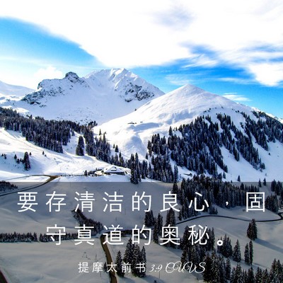 Picture 03 - 提 摩 太 前 书 3:9 CUVS - 要 存 清 洁 的 良 心 ， 固 守 真 道 - Bible Verse Picture