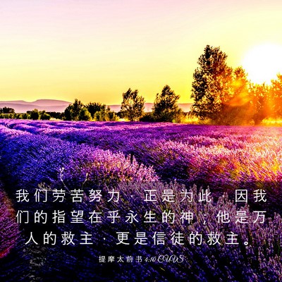 Picture 03 - 提 摩 太 前 书 4:10 CUVS - 我 们 劳 苦 努 力 ， 正 是 为 此 ， - Bible Verse Picture