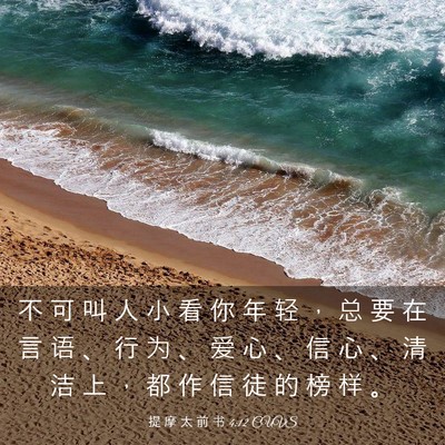 Picture 03 - 提 摩 太 前 书 4:12 CUVS - 不 可 叫 人 小 看 你 年 轻 ， 总 要 - Bible Verse Picture