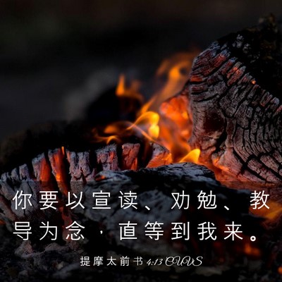 Picture 03 - 提 摩 太 前 书 4:13 CUVS - 你 要 以 宣 读 、 劝 勉 、 教 导 为 - Bible Verse Picture