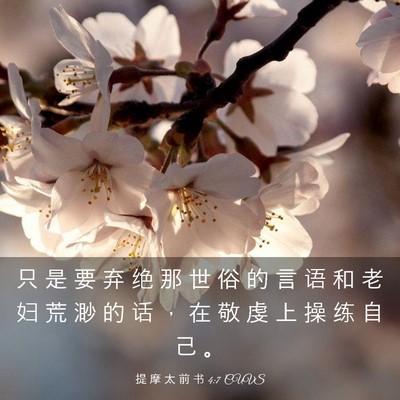 Picture 03 - 提 摩 太 前 书 4:7 CUVS - 只 是 要 弃 绝 那 世 俗 的 言 语 和 - Bible Verse Picture