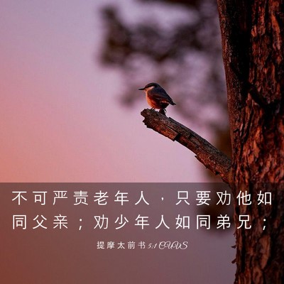Picture 03 - 提 摩 太 前 书 5:1 CUVS - 不 可 严 责 老 年 人 ， 只 要 劝 他 - Bible Verse Picture